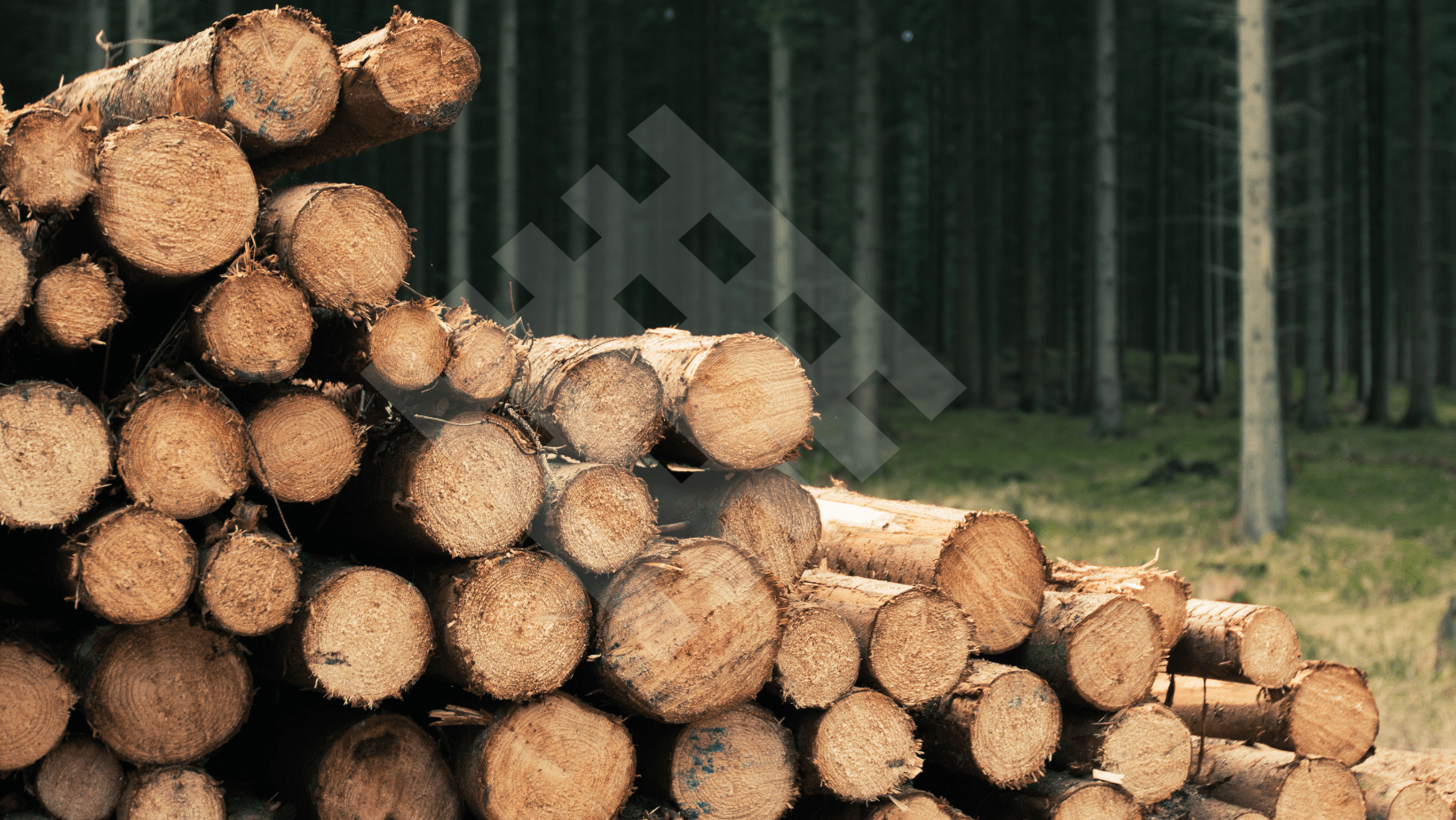 Madera Certificada
