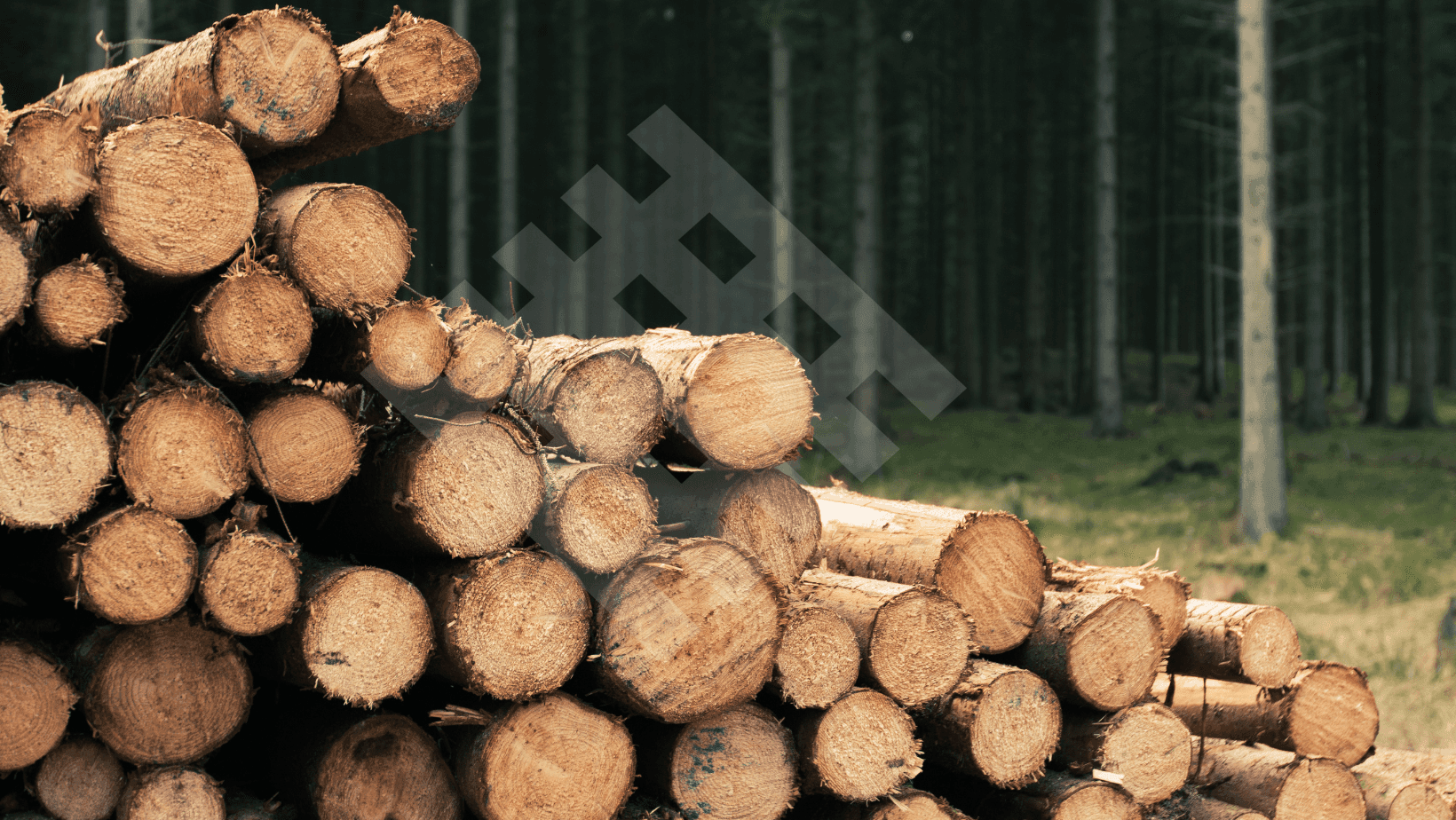 Madera Certificada