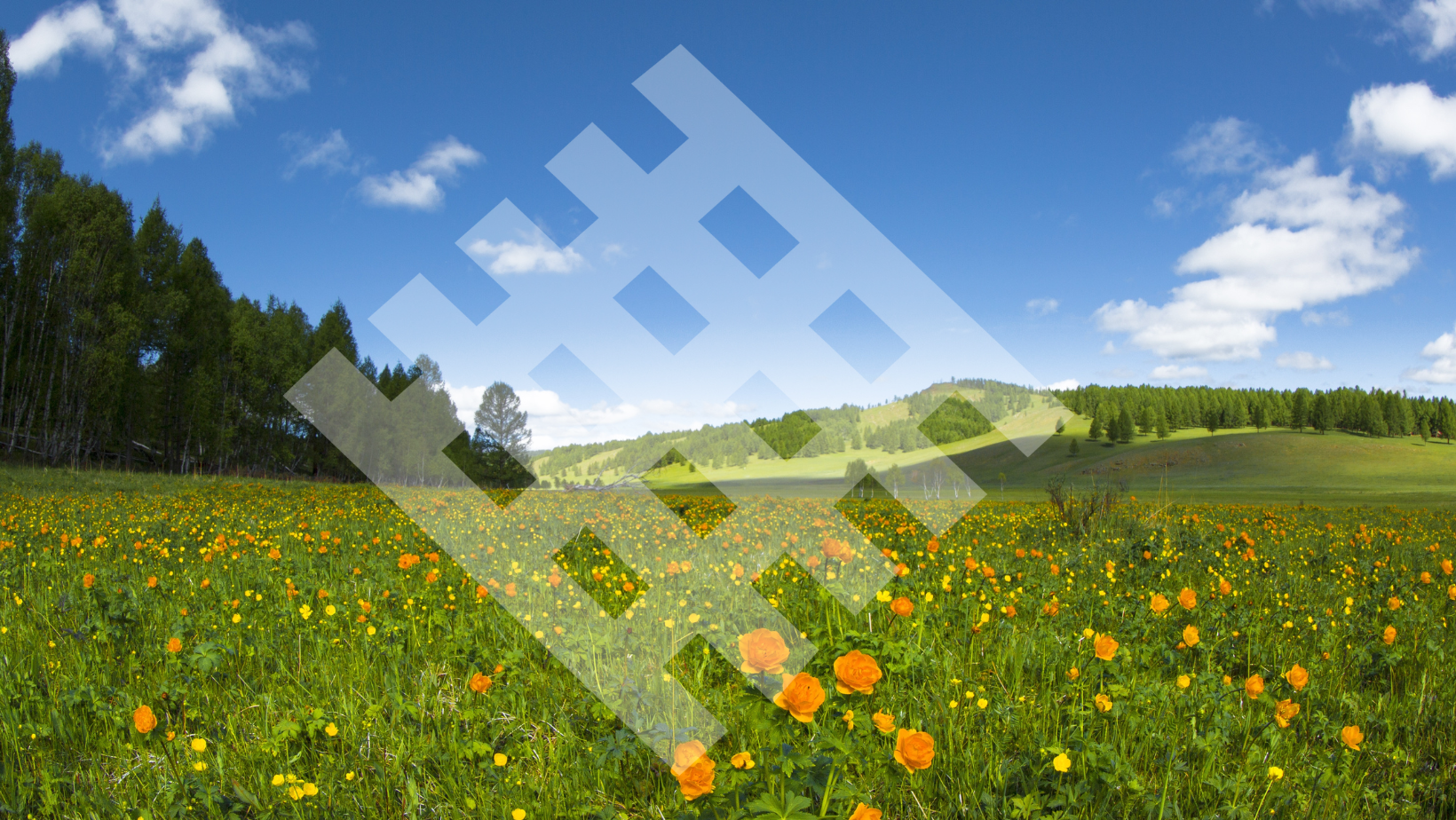 Renueva tu Logística con NATASA: Bienvenida Primavera