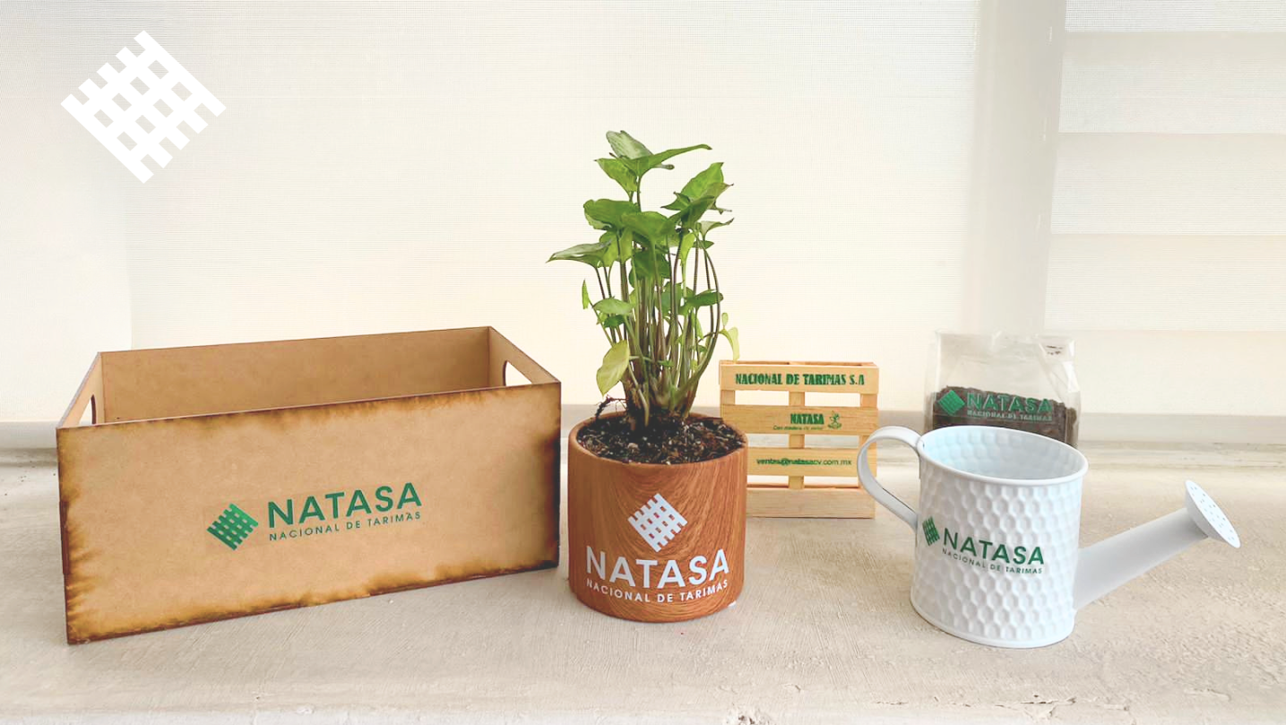 ¡Celebremos el Día Mundial del Árbol con NATASA!