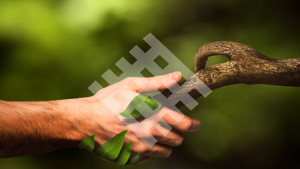 Dia de la Naturaleza